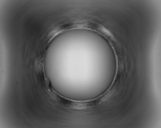 X0000086231361200704191750