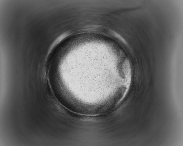 X0000086231362200704191750