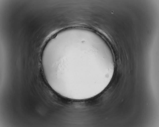 X0000086231363200704191750