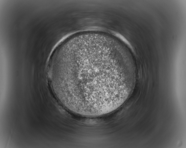 X0000086231364200704191750