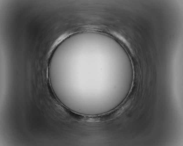 X0000086231365200704191750