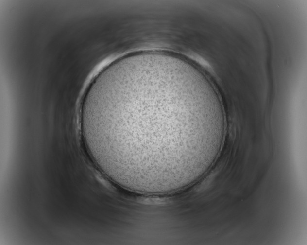 X0000086231366200704191750