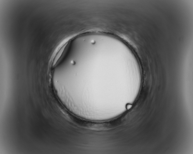 X0000086231367200704191750