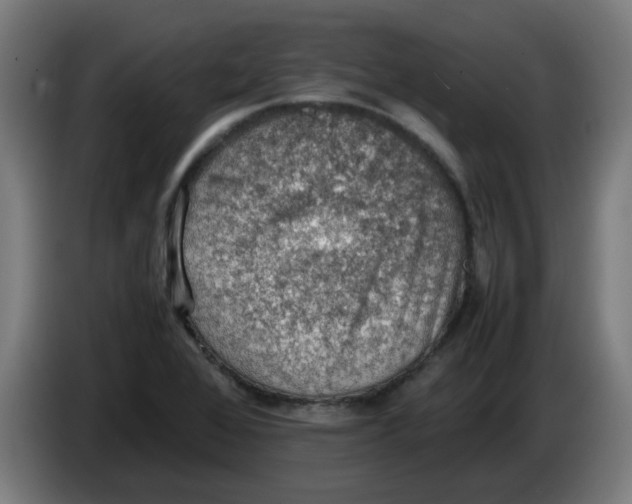 X0000086231368200704191750