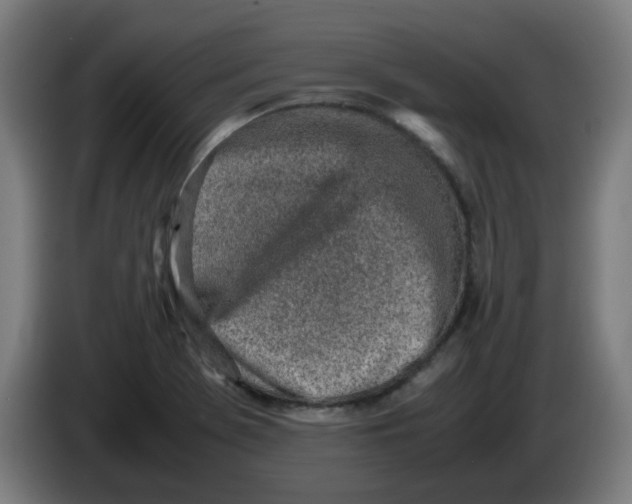 X0000086231369200704191750