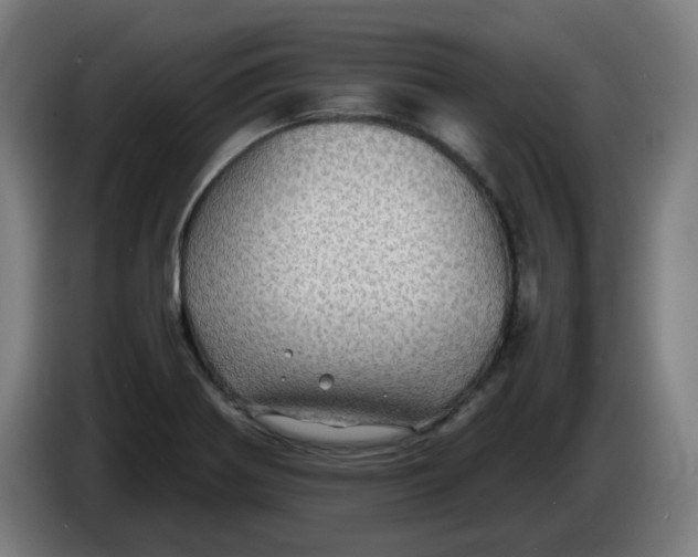 X0000086231370200704191750