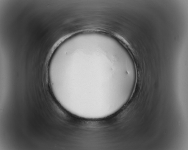 X0000086231371200704191750