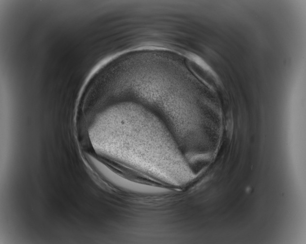 X0000086231372200704191750