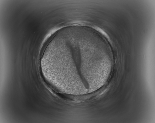 X0000086231373200704191750