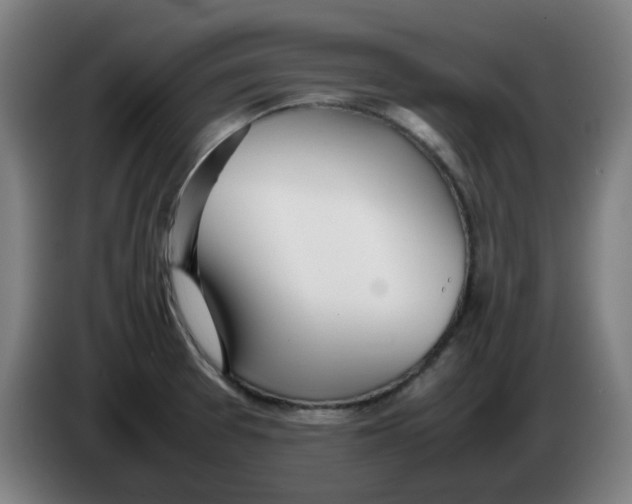 X0000086231377200704191750