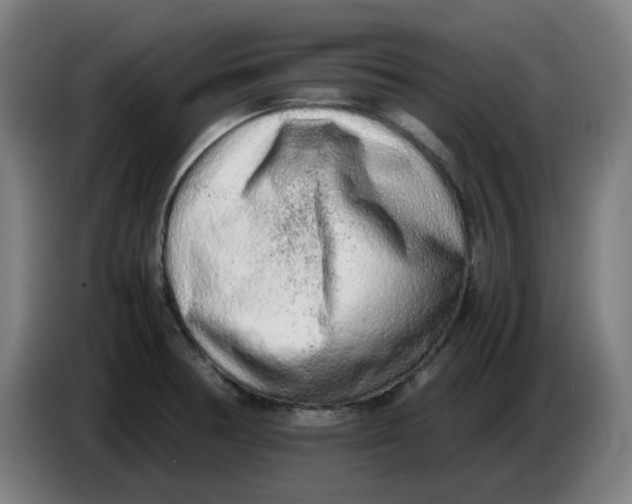 X0000086231378200704191750