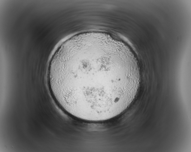 X0000086231379200704191750