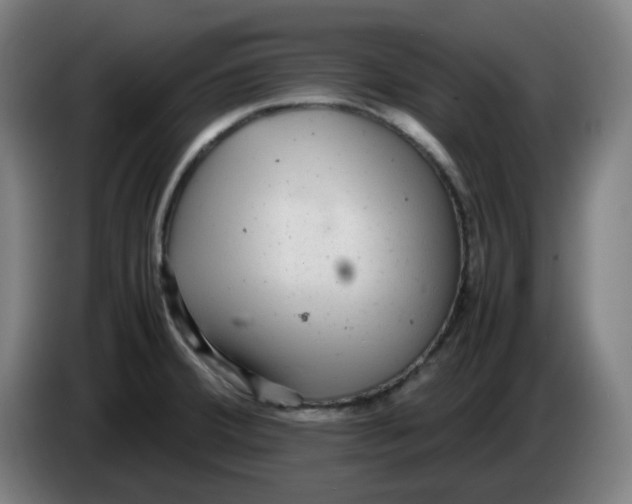 X0000086231380200704191750