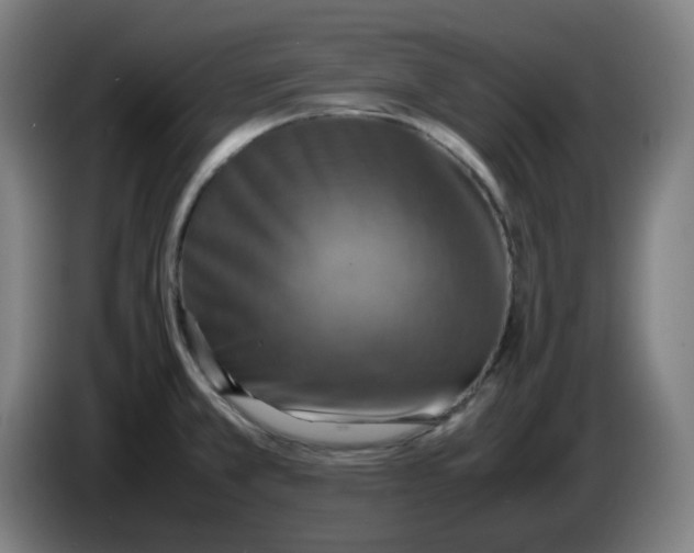 X0000086231381200704191750