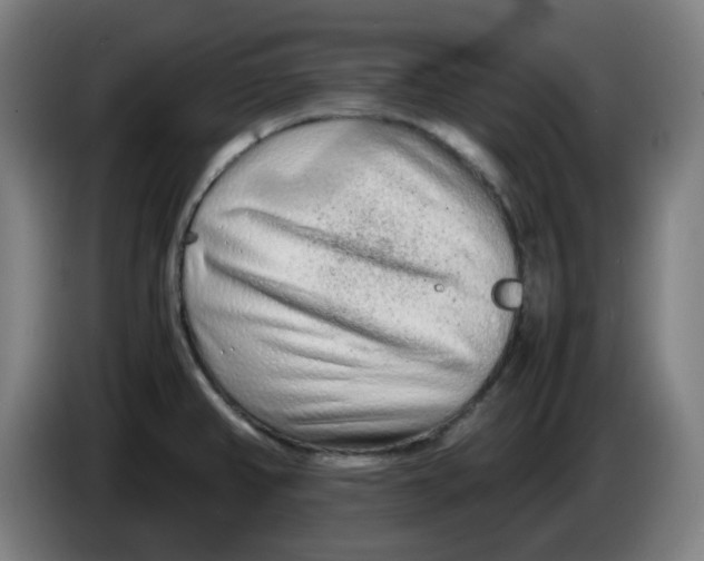 X0000086231382200704191750