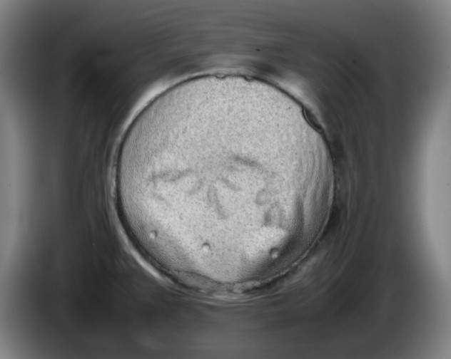 X0000086231383200704191750