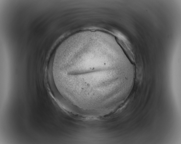 X0000086231384200704191750