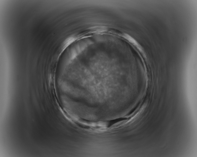 X0000086231385200704191750