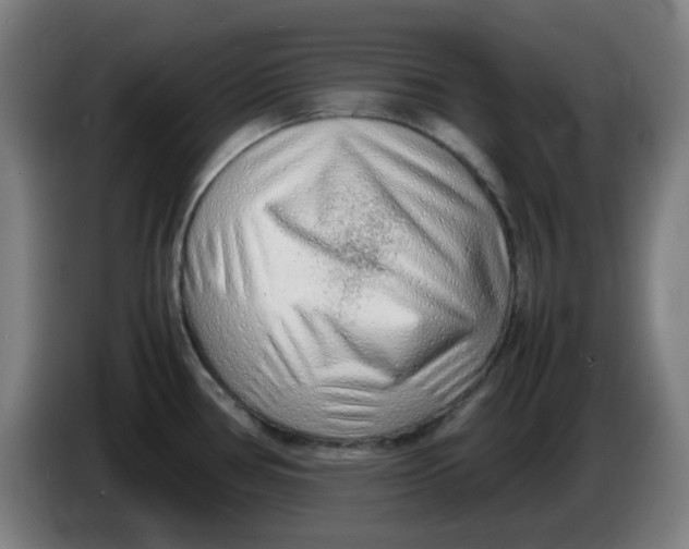 X0000086231386200704191750