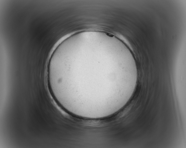 X0000086231387200704191750