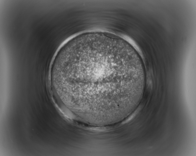 X0000086231388200704191750