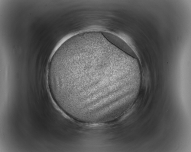 X0000086231390200704191750