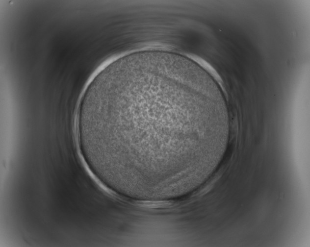 X0000086231391200704191750