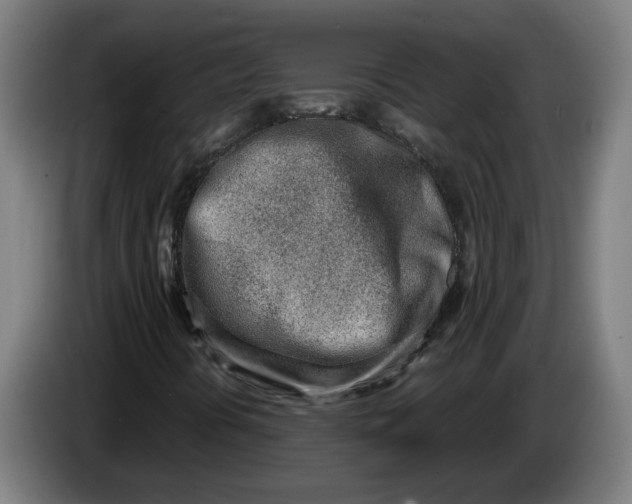 X0000086231394200704191749