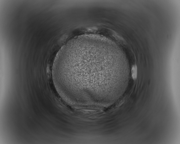 X0000086231395200704191749