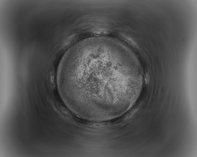 X0000086231396200704191749