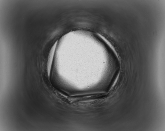 X0000086231399200704191749