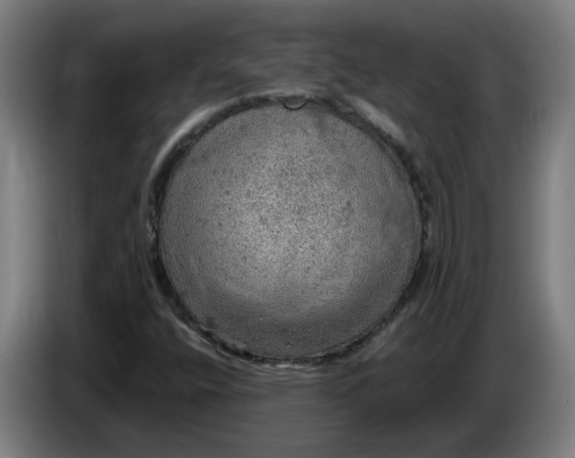 X0000086231400200704191750