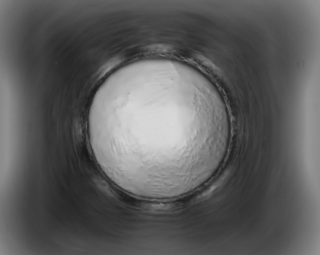 X0000086231401200704191750