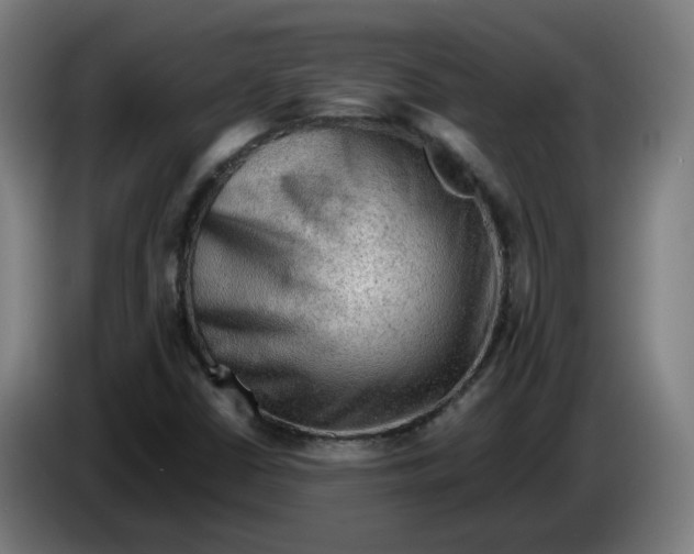 X0000086231402200704191750