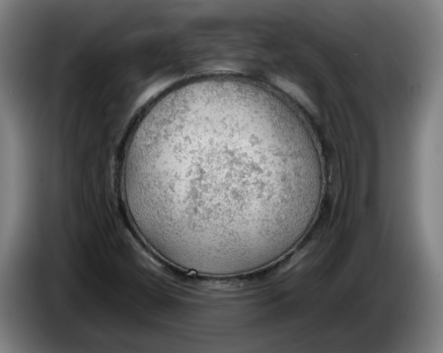 X0000086231404200704191750