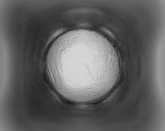 X0000086231405200704191750