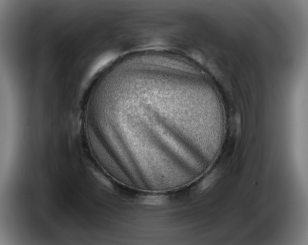 X0000086231406200704191750