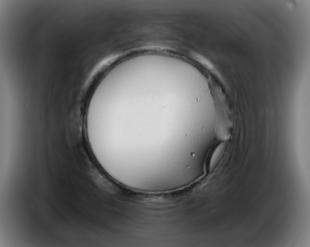 X0000086231408200704191750