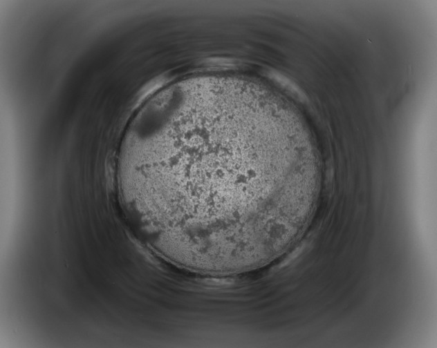 X0000086231409200704191750