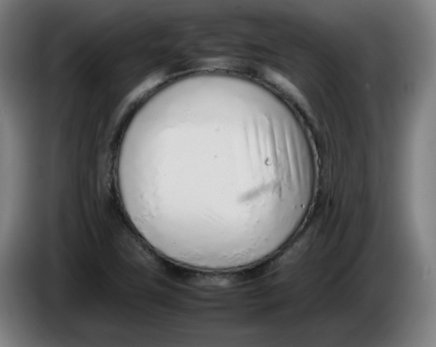 X0000086231411200704191750