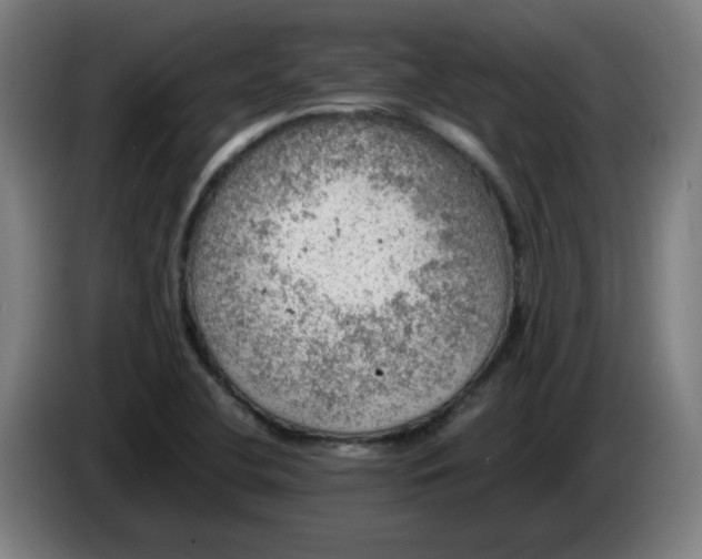 X0000086231412200704191750