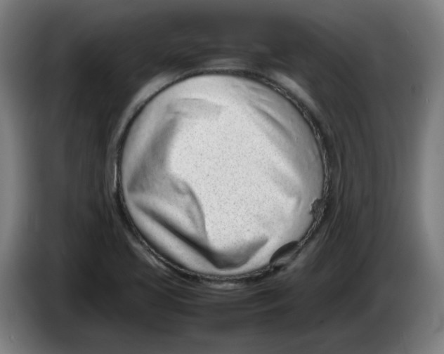 X0000086231413200704191750