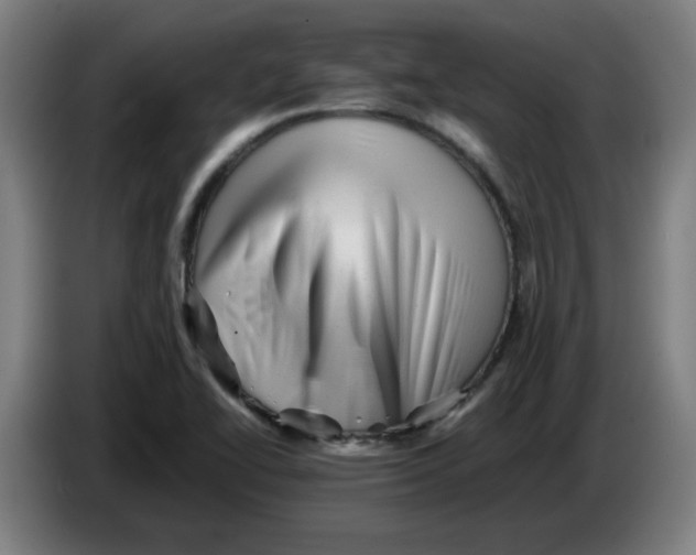 X0000086231414200704191750