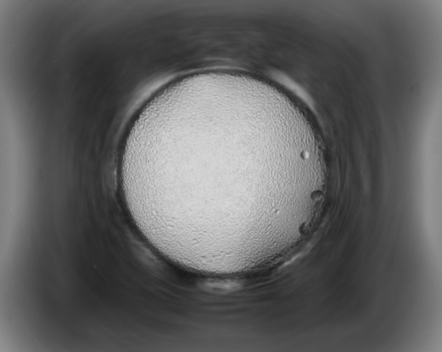 X0000086231415200704191750