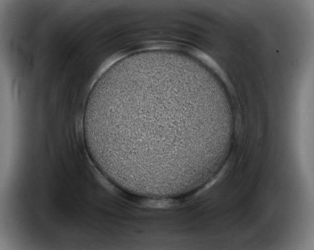 X0000086231417200704191750