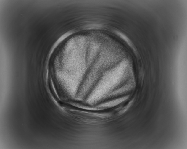 X0000086231418200704191750