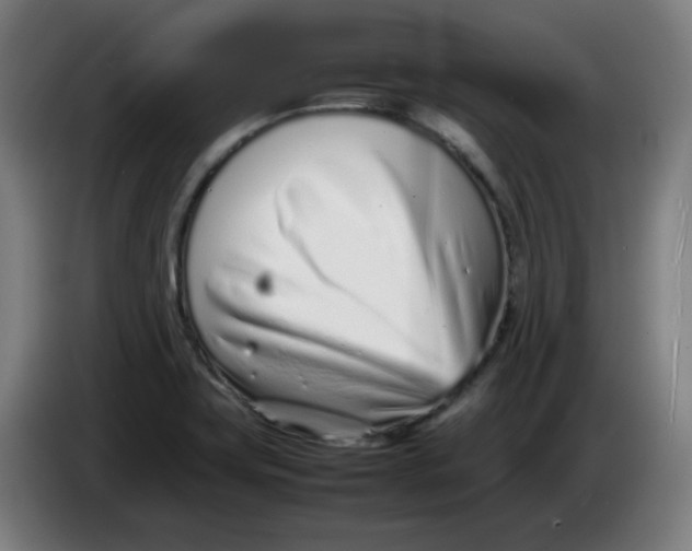 X0000086231419200704191750