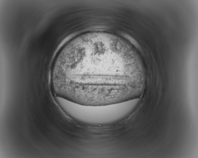 X0000086231420200704191750