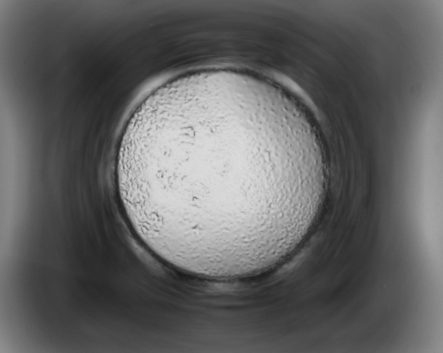 X0000086231421200704191750