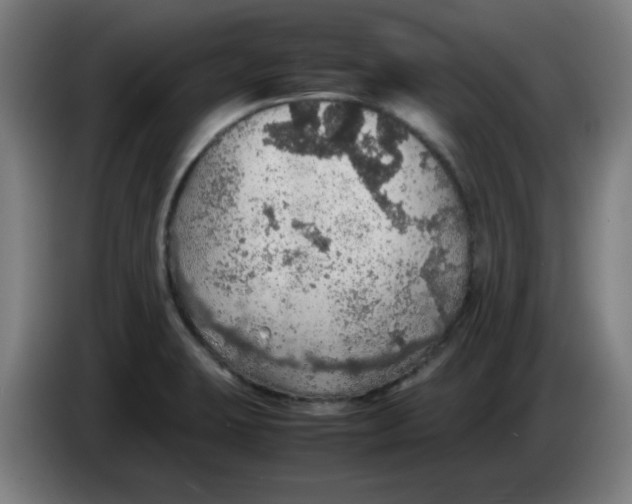 X0000086231423200704191750